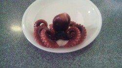 舞洲　タコジグでタコの新子1パイ☆