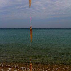 平海水浴場　夜明けからの投げ釣りでキス22匹　ピンギスが中心の模様