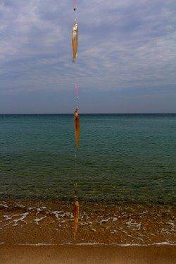 平海水浴場　夜明けからの投げ釣りでキス22匹　ピンギスが中心の模様