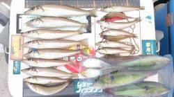 炬口周辺での投げ釣りキス☆　釣友と楽しく釣行