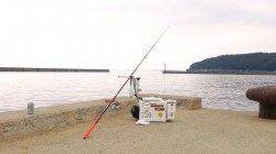 洲本港で投げ釣り（引き釣り）でキスの釣果、良く釣れます！！