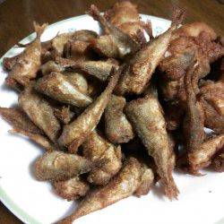 柴山港　朝マズメにサビキで豆アジ63匹☆