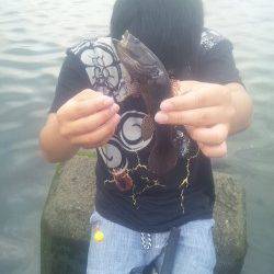 淀川河口　玉ウキ仕掛けでカワアナゴ♪