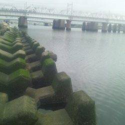 淀川河口　玉ウキ仕掛けでカワアナゴ♪