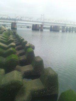 淀川河口　玉ウキ仕掛けでカワアナゴ♪
