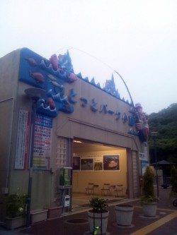 とっとパーク小島　夕方の時合いに中アジ16匹　ハマチ＆サバのダブルは痛恨のハリス切れ