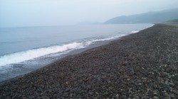 煙樹ヶ浜、タコの釣果：波も穏やかで釣りやすかった♪