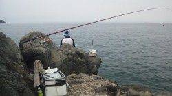 神谷の地磯でフカセ、開始早々からグレが入れ食い状態