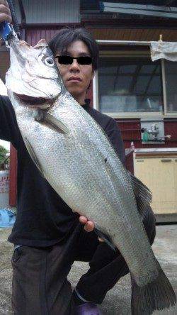 濱ノ瀬漁港でルアーゲーム、71cmのヒラスズキの強烈な引き！