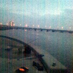 淀川河口　ウキ釣りでキビレ45cmの釣果