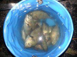 淡路ランガン、色々な釣り方で満足釣果♪