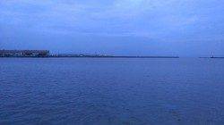 貝塚　ルアーでシーバス狙いもヒットしたのはヒイラギ