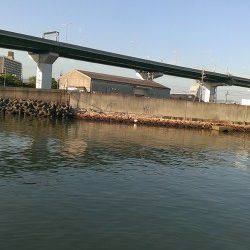 佐野漁港　朝6時から40分の釣行でシーバス60cm1本！