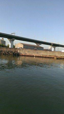 佐野漁港　朝6時から40分の釣行でシーバス60cm1本！