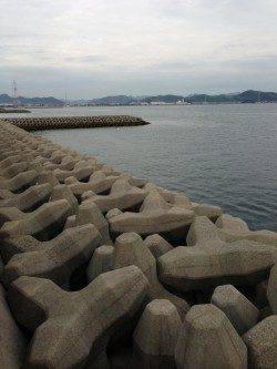 妻鹿（白浜）漁港でデイエギング、3.5号のエギで釣れたのは・・・