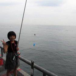 とっとパーク小島　サビキ釣りで豆アジ300尾　ファミリー釣果☆