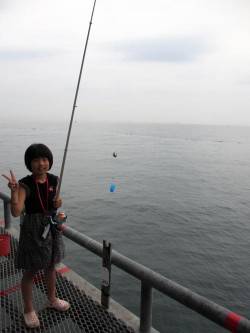 とっとパーク小島　サビキ釣りで豆アジ300…