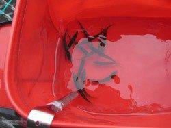 とっとパーク小島　サビキ釣りで豆アジ300尾　ファミリー釣果☆