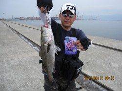 ポートアイ沖堤防でシーバス狙い★