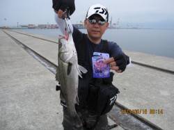 ポートアイ沖堤防でシーバス狙い★