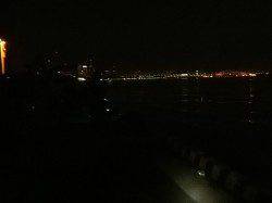 夜の兵庫突堤　イワシ100匹に加えタチウオも2本！　スルメイカは厳しい釣果