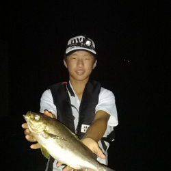 衣奈漁港　フカセでイサギ〜40cm4匹！　他サビキでイワシなど