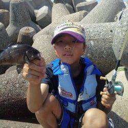 本荘人工島、穴釣りで色々釣れて楽しめました！