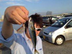 ルアーでタコ&サビキでサバ・アジ　楽しい季節になりました♪