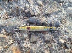 汐見埠頭　ショアジギングで夕方にサバがヒット