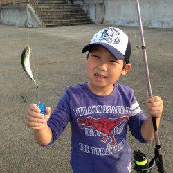 アジュール舞子　サヨリをはじめ、サビキで小サバ、アジなど楽しめる