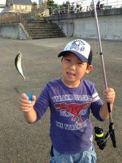 アジュール舞子　サヨリをはじめ、サビキで小サバ、アジなど楽しめる