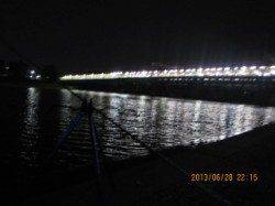 武庫川河口　探り釣りでウナギ狙いもテナガエビ＆ブルーギル