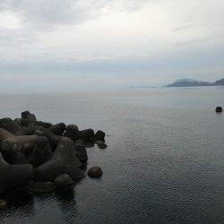 福井ランガン釣果、世久見エリアでコウイカ！