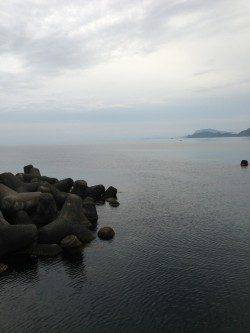 福井ランガン釣果、世久見エリアでコウイカ！