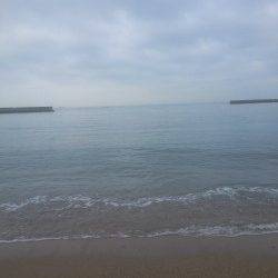 須磨、近投でキスＧＥＴ