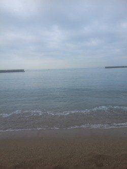 須磨、近投でキスＧＥＴ