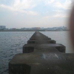 武庫川河口　探り釣りでタコ2匹　朝1時間の釣行