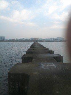 武庫川河口　探り釣りでタコ2匹　朝1時間の釣行