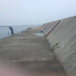 武庫川尻一文字　オクトパッシングでタコ2匹☆多い人は30匹の釣果も