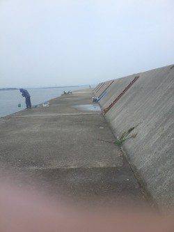 武庫川尻一文字　オクトパッシングでタコ2匹☆多い人は30匹の釣果も