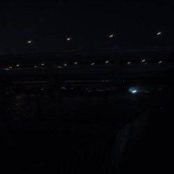 武庫川河口　ぶっこみ釣りでアナゴ40cm　エサは青虫がオススメか