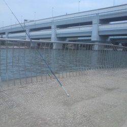 武庫川河口、ぶっこみ釣りでキビレ・セイゴ