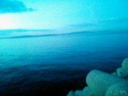 東二見　粘った末にエギングでメスアオリイカ700gがヒット！