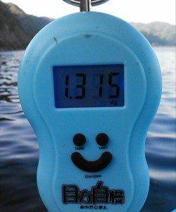 柴山港　エギングで今年初の春イカは1.3kg！