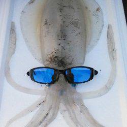 柴山港　エギングで今年初の春イカは1.3kg！