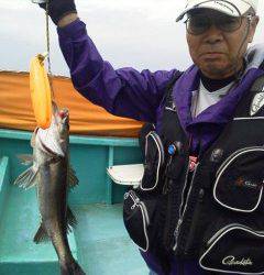 岸和田一文字　ウキ釣りでハネ〜68cmの釣果