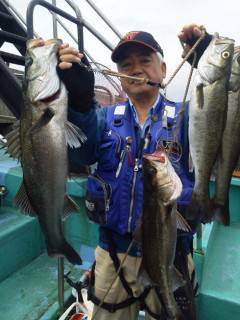 岸和田一文字　ウキ釣りでハネ〜68cmの釣果