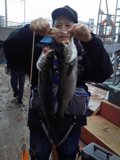 岸和田一文字のハネ釣り