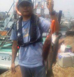 岸和田一文字　シラサエビでハネ・ガシラ