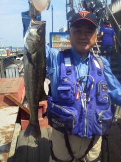 8日、沖の一文字・旧の赤灯台でのウキ釣りハ…